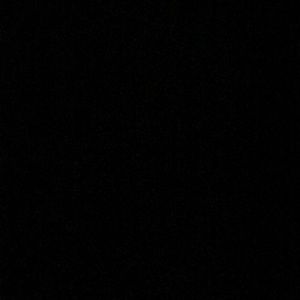 Meet your Posher, Darryl